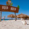 HULA HULA ISLAND – Snorkeling Tour in Hurghada