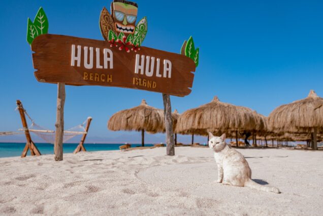 HULA HULA ISLAND – Snorkeling Tour in Hurghada