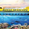 GLASS BOTTOM BOAT IN HURGHADA