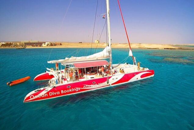 Ocean Diva Catamaran (Small Group)