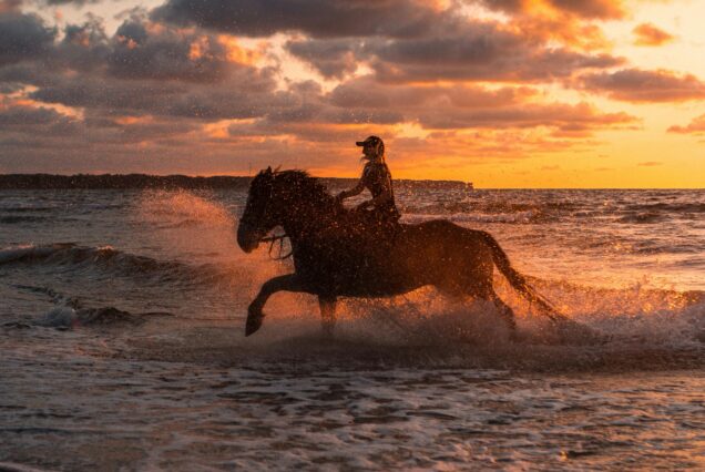 Red Sea Desert Horseback Riding Tour with Swimming in Hurghada