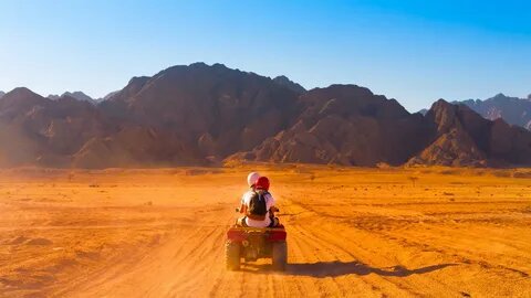 DESERT TOUR FROM MARSA ALAM | 3-HOUR QUAD TOUR + CAMEL RIDE