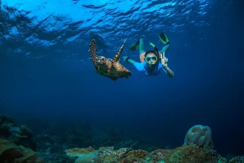 EGYPT ABU DABBAB SNORKELING TRIP/ SWIMMING WITH TURTLES